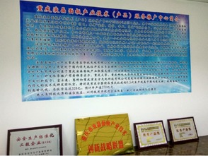 重慶液晶面板產業技術推廣中心成立，助力技術與產品服務升級